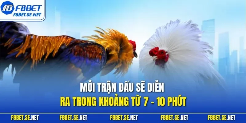 Mỗi trận đấu sẽ diễn ra trong khoảng từ 7 - 10 phút