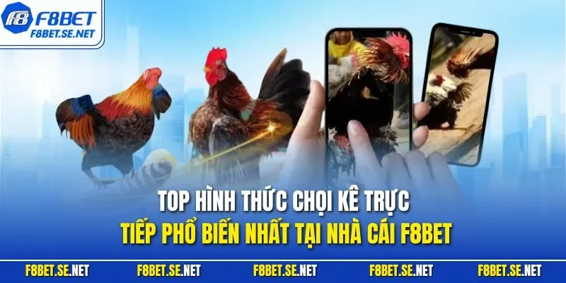 Top hình thức chọi kê trực tiếp phổ biến nhất tại nhà cái F8BET